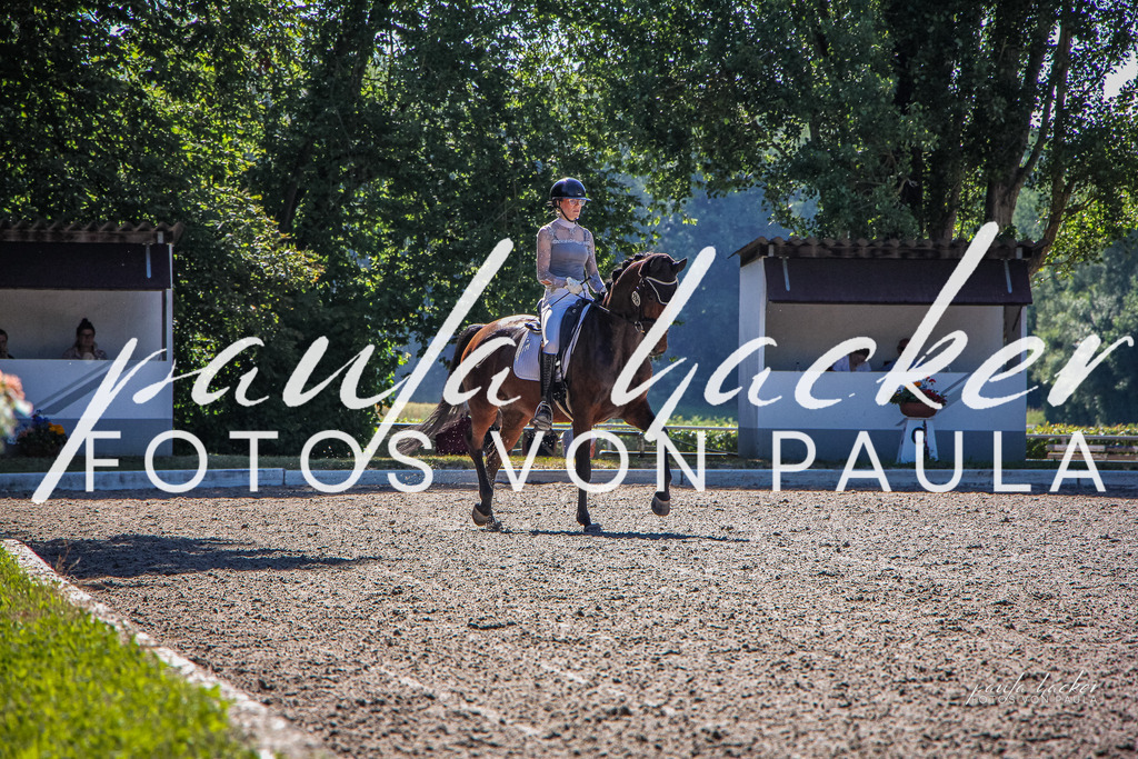 IMG_9948 | Erleben Sie dynamische Sport- und emotionale Tierfotografie in Süddeutschland mit Fotos von Paula. Spezialisiert auf Pferde- und Hundefotografie sowie Sportevents. Kontaktieren Sie mich für einzigartige und ausdrucksstarke Bilder Ihrer besonderen Momente.