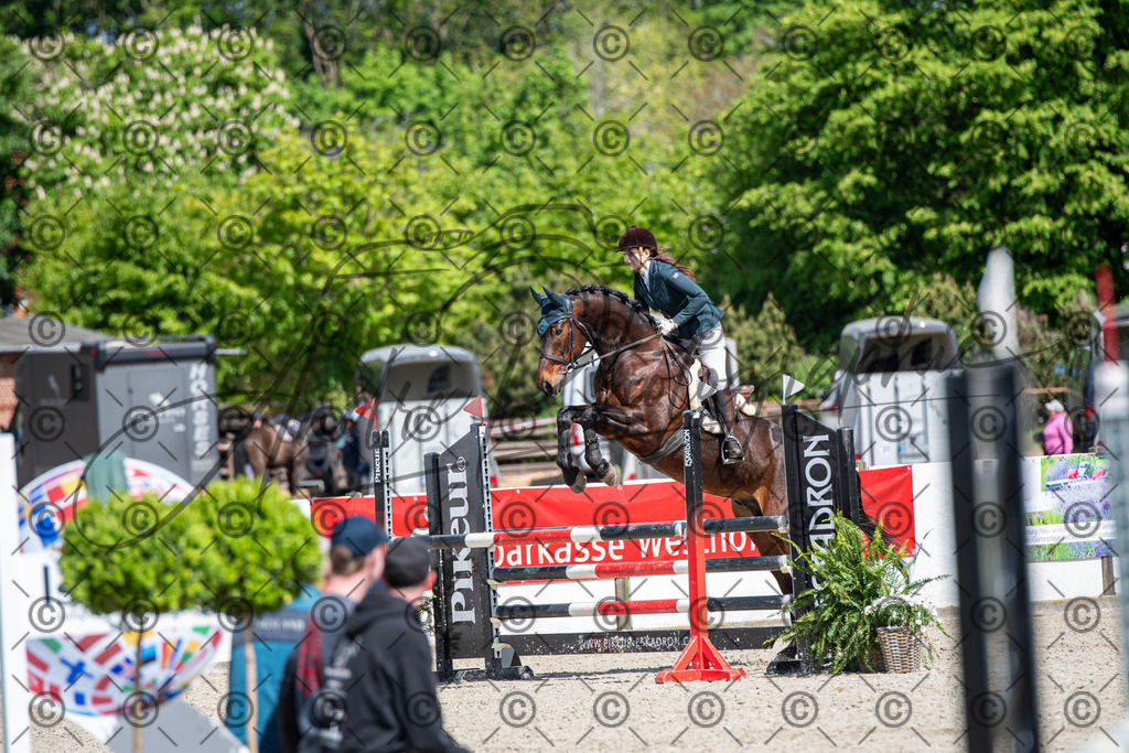 KPT_5196 | andre_photographic