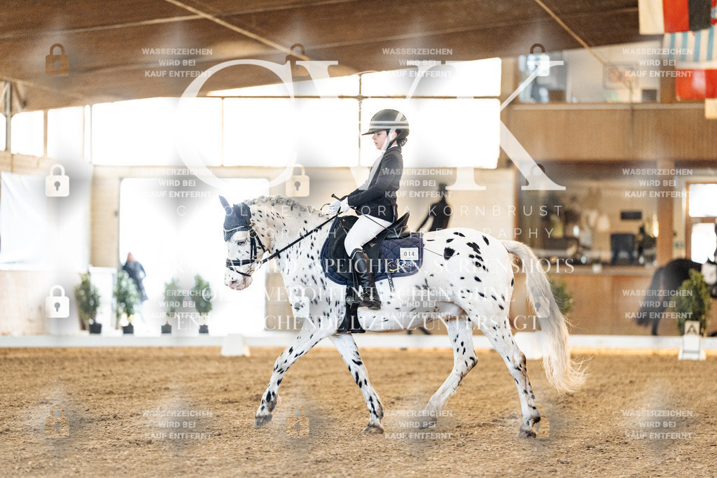 CK906431 | Turnierfotografie Pferdefotografie Trier Rheinland-Pfalz Pferdesport Reitsport Tierfotografie Sportfotografie Pferdevideo Pferdevideografie Equestrianvideography equestrianphotography  - Realized with Pictrs.com