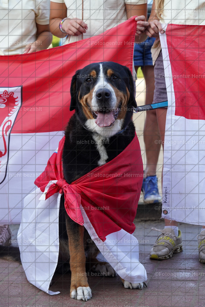 20240823-FAH06827 | Bayerisches Landesponyturnier 2024, Tierhaupten, Turnierbilder, Foto Turnier, Fotoagentur Herrmann, Turnierfotografen Bayern