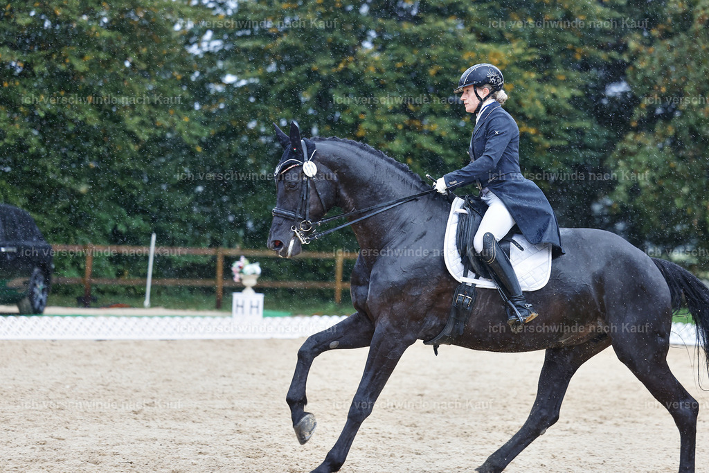 8_2-171-DRESSUR S_  -StoibPH-4501 | working equitationturnier fotograf videograf stoibphotography marixx film working equitation deutschland reitsport turnierfotografie eventfotografie equestrian events
