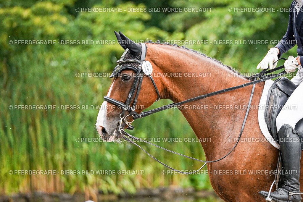 DSC08717 | Pferdegrafie