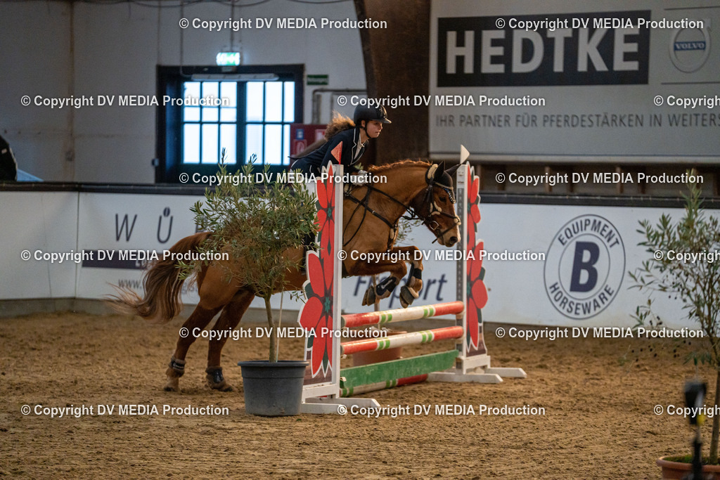 Kranichstein Tag 2-1011 | dv-media-shop - Realisiert mit Pictrs.com