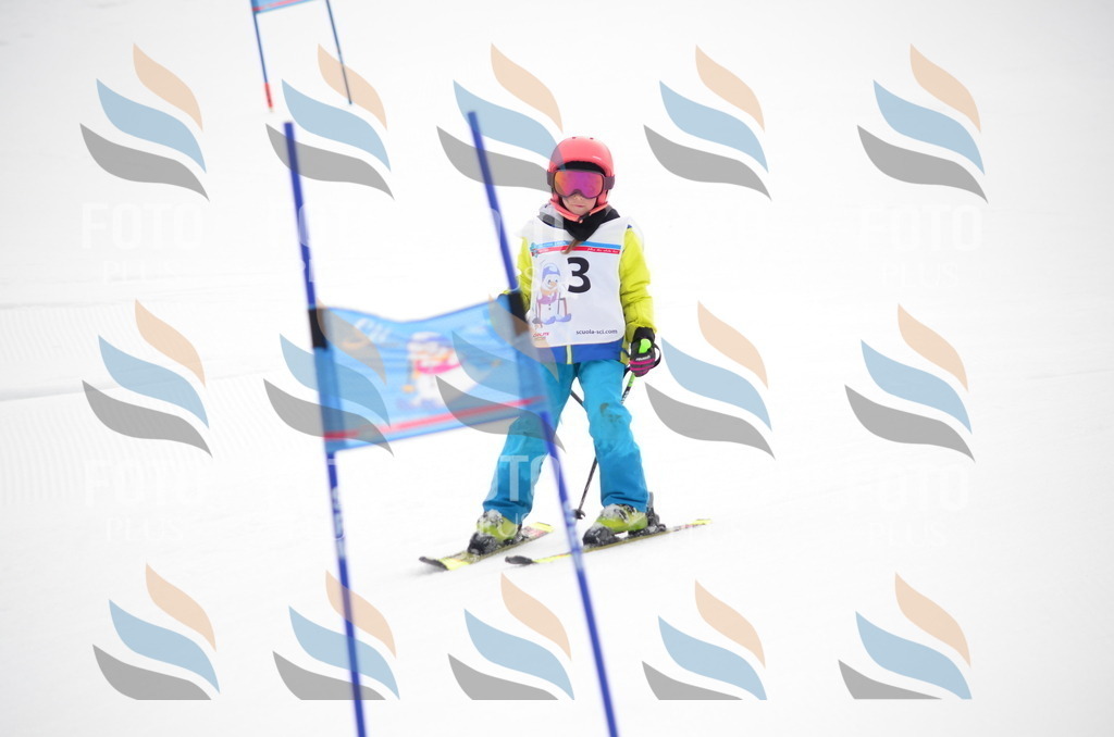 B9914 | holidayphoto