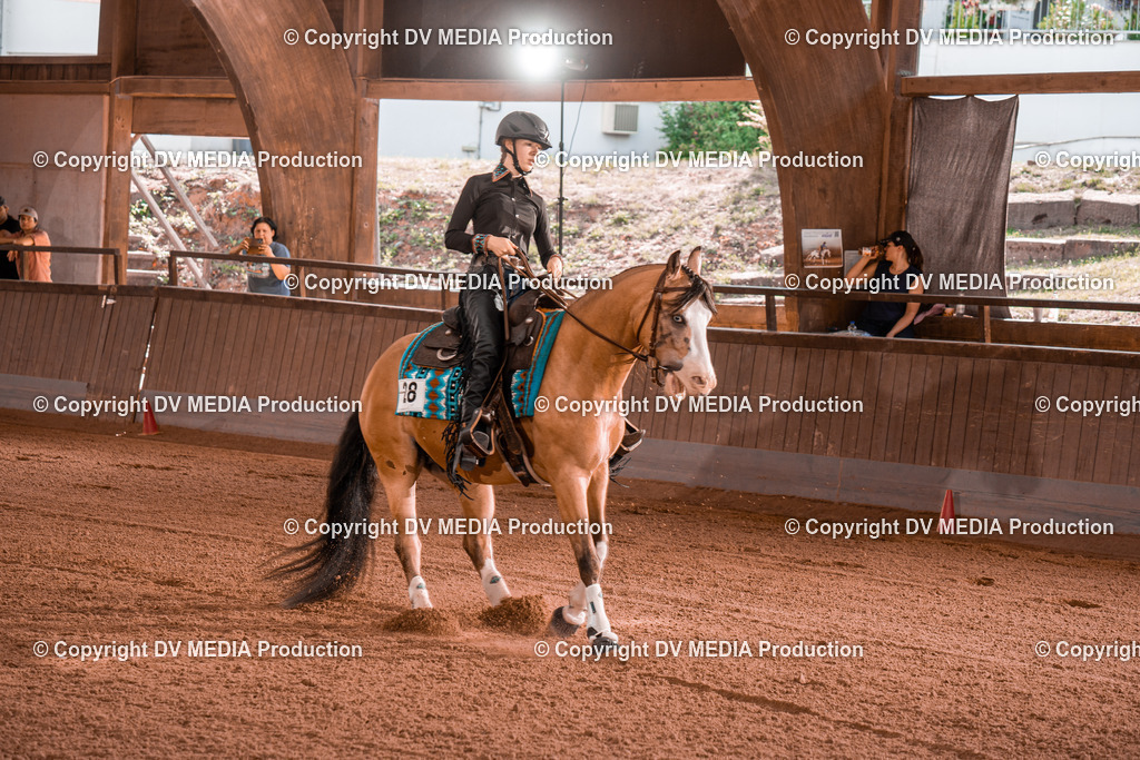 NE201114 | dv-media-shop - Realisiert mit Pictrs.com