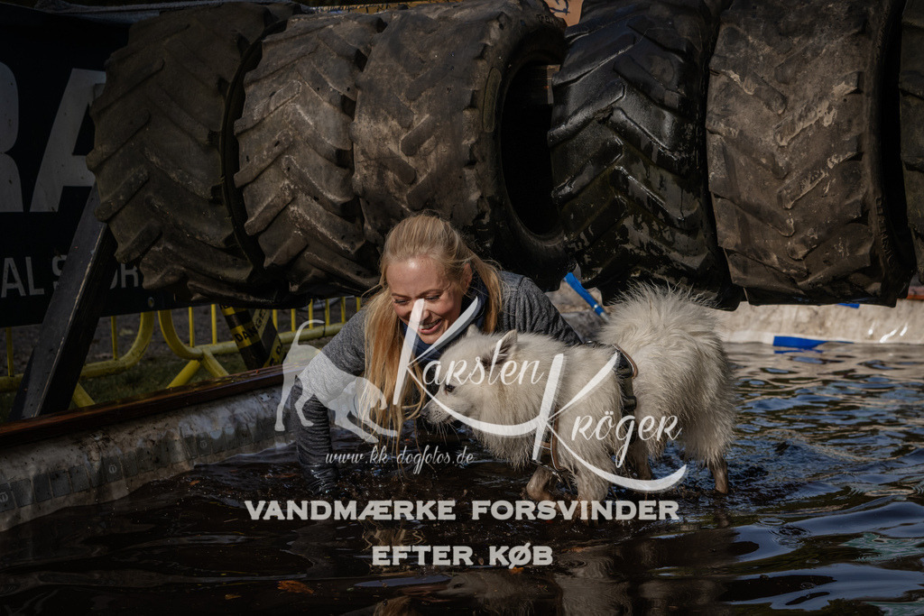 1414_ZZ94195 | kk-dogfotos