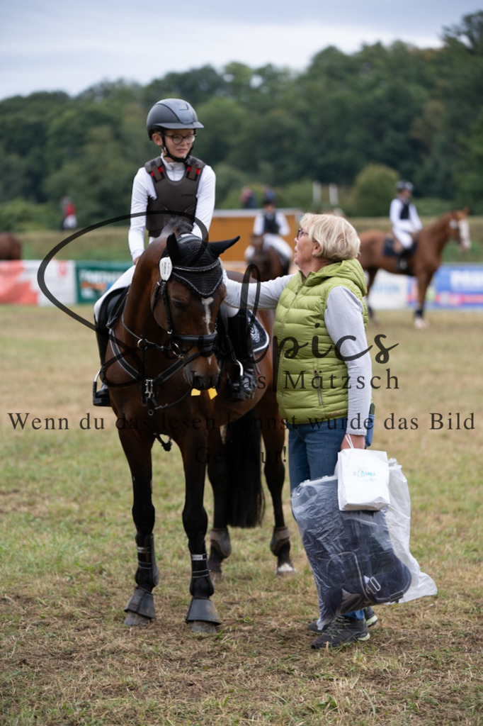 A7V00380 | Pferdefotograf