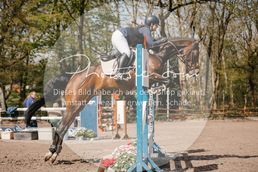 3I6A4123 | Stimmungsvolle Portraits und Reitsportfotografie im Ruhrgebiet und im Münsterland.

Pferdefotografie, Hundefotografie, Tierfotografie, Reportagen, Portraits von Tier und Mensch, Turnierfotografie in Bochum, Recklinghausen, Marl, Haltern am See, Dülmen.. - Realisiert mit Pictrs.com