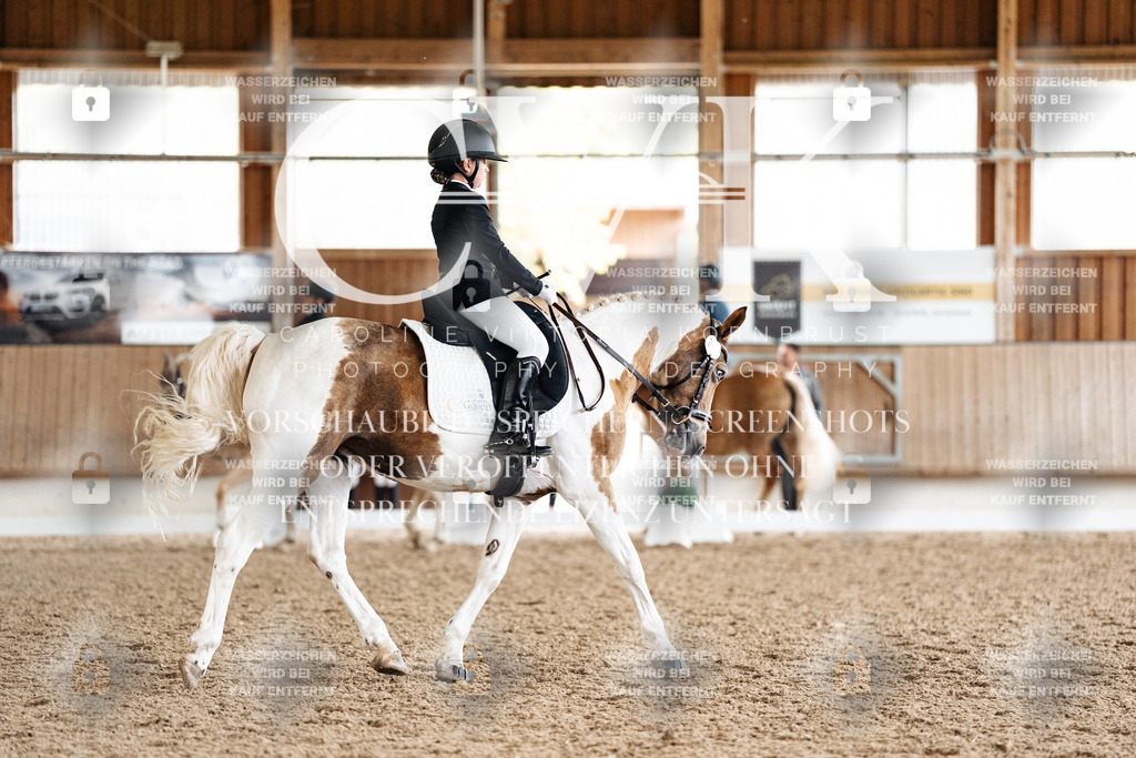 CK900528 | Turnierfotografie Pferdefotografie Trier Rheinland-Pfalz Pferdesport Reitsport Tierfotografie Sportfotografie Pferdevideo Pferdevideografie Equestrianvideography equestrianphotography  - Realisiert mit Pictrs.com