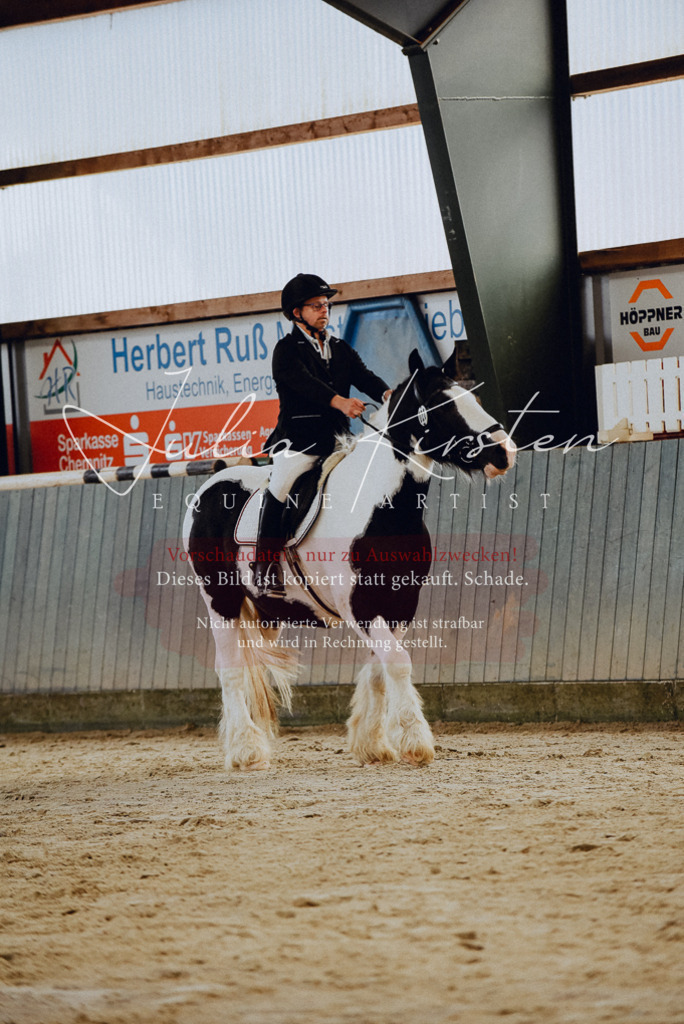 DSC_6763 | Pferde- und Turnierfotografie in Westsachsen. Pferdeportraits, Auftragszeichnungen und intuitive Kunst.