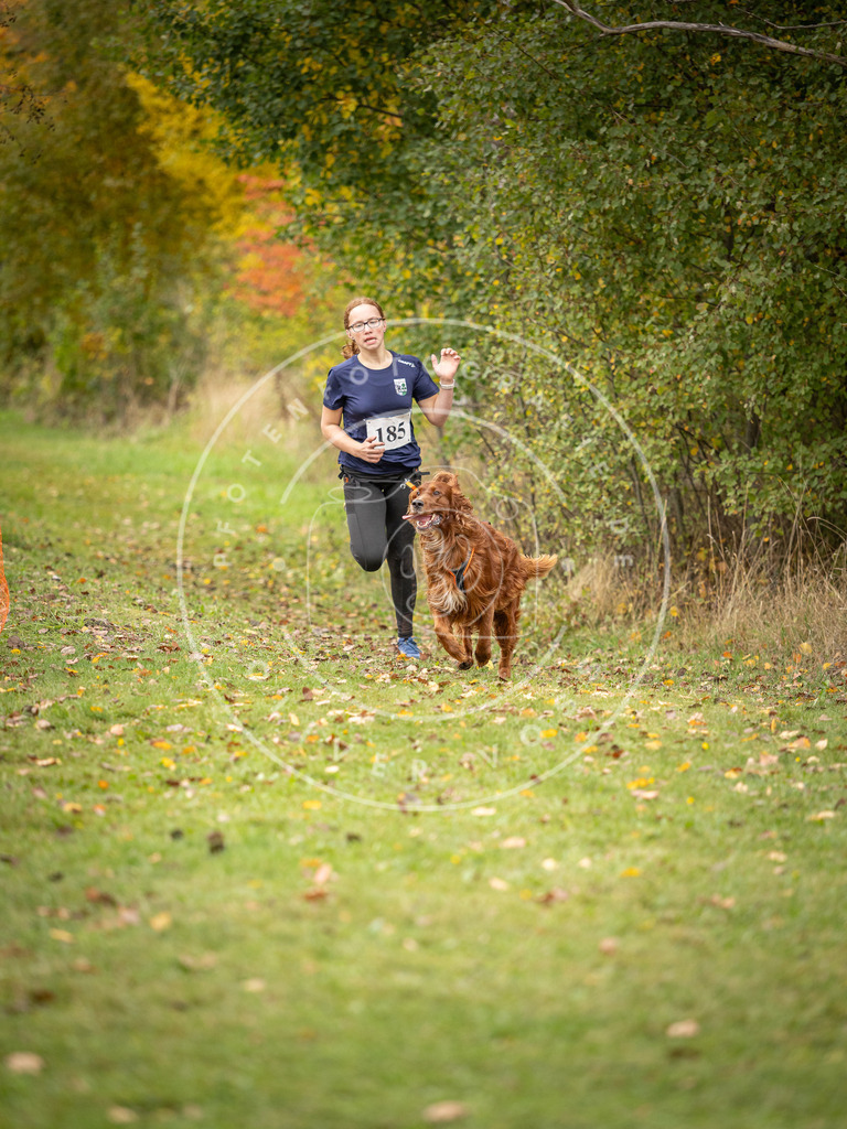 Pfotenfotografie_DV3A3734 | Hundefotografie, Tierfotograf, Pfotenfotografie, Fotoshooting Hund, Hunde Portrait, Hundesport, Hundeportraits, Heideshooting, Hunde, Sportfotograf, Hundefotograf, Turnierhundsport, THS,  - Realisiert mit Pictrs.com