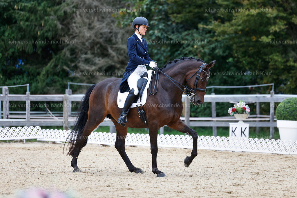 8_1-087-Klasse S_  -StoibPH-3835 | working equitationturnier fotograf videograf stoibphotography marixx film working equitation deutschland reitsport turnierfotografie eventfotografie equestrian events