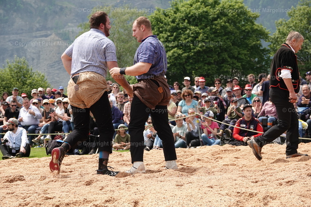 DSC04126 | Schwingen - Realisiert mit Pictrs.com