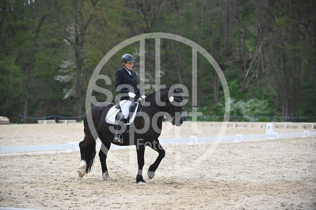 DSC_5185 | sattelsport - Realisiert mit Pictrs.com