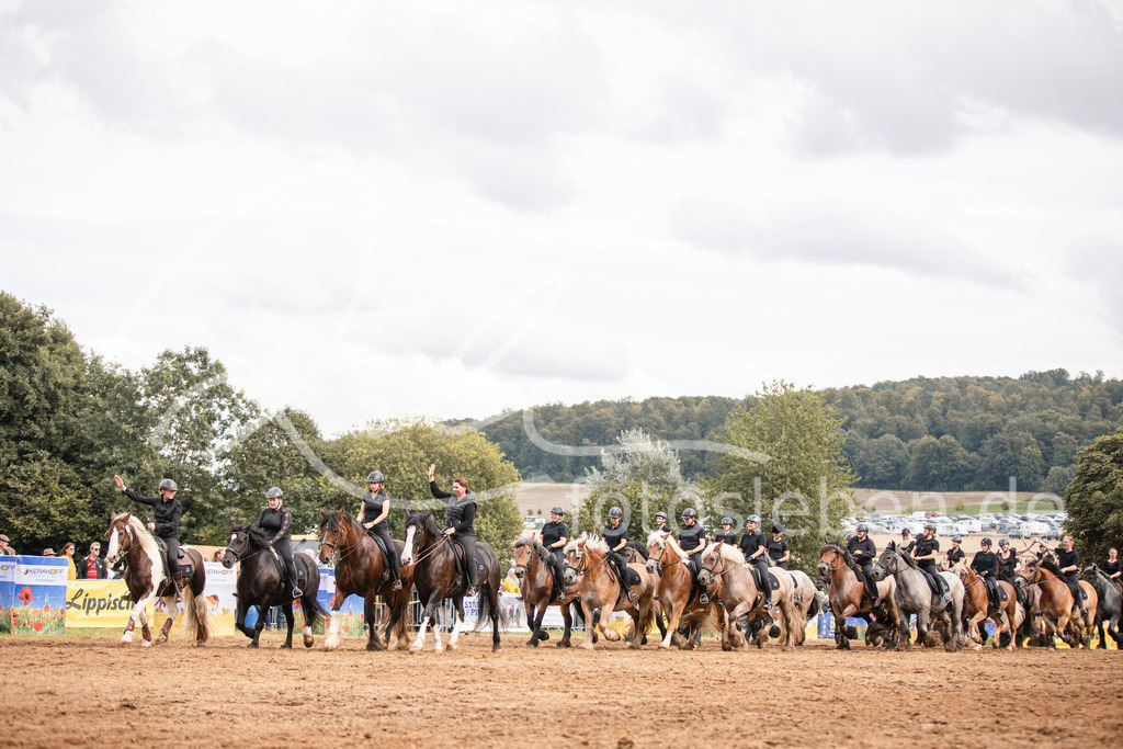 846A4105 | fotosleben - Realisiert mit Pictrs.com