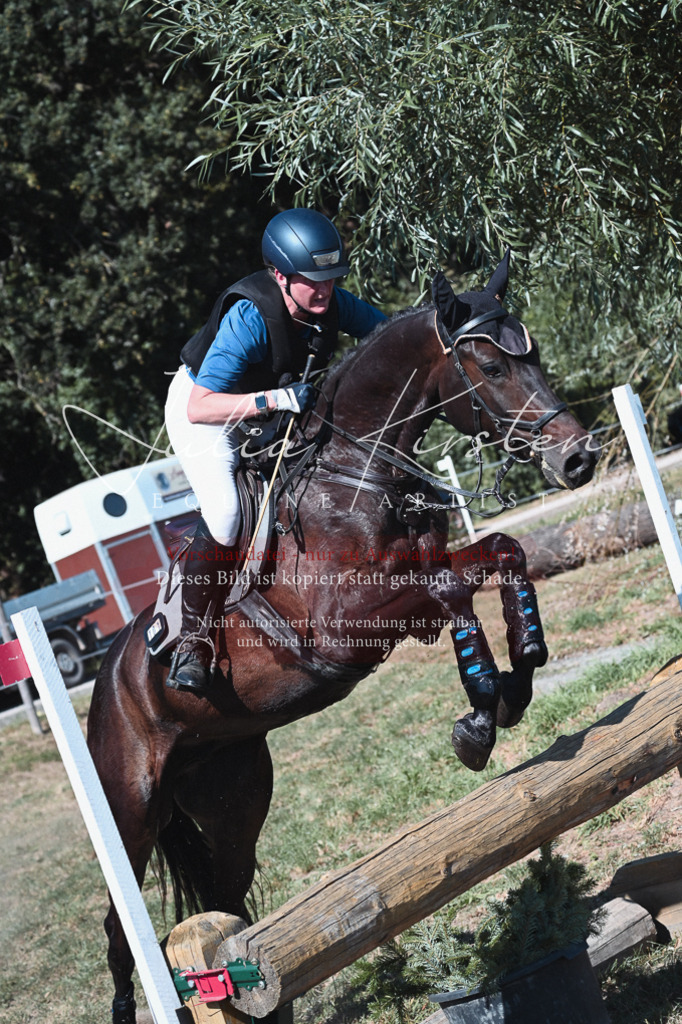 DSC_8509 | Pferde- und Turnierfotografie in Westsachsen. Pferdeportraits, Auftragszeichnungen und intuitive Kunst.