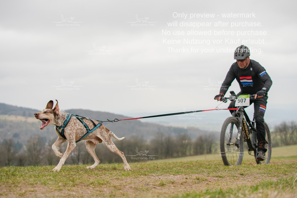 BikeSA-191 | stephaniefillaphotographie - Realisiert mit Pictrs.com