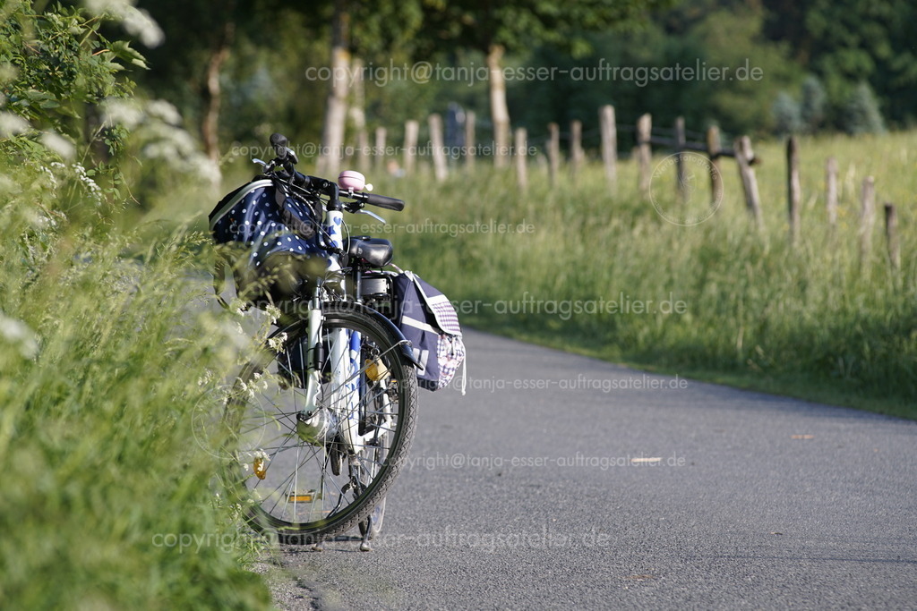 E Bike Ausflug in Sauerländer Natur | E Bike in weiß mit blauen Sternen und mehreren Taschen parkt am Wegesrand. Asphalt im Vordergrund  bietet Copy Space. Grüne Wiesenlandschaft am Wegesrand im Sauerland.
