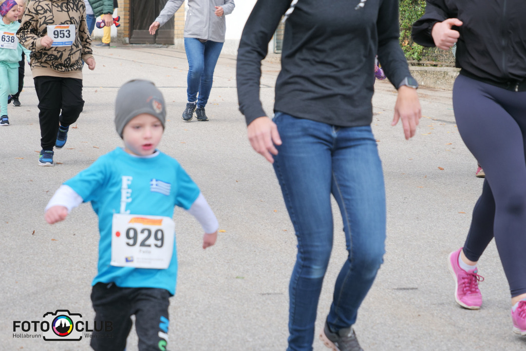 P1017390 | Foto Buchgraber