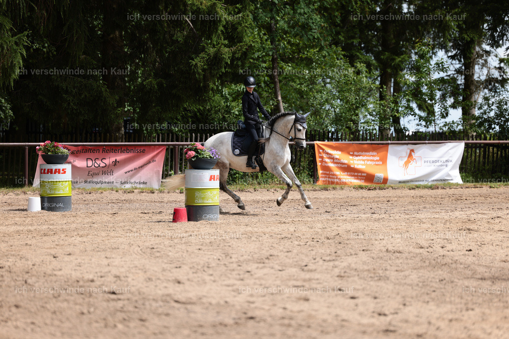 KlasseA_Stoibphotography_C2_L5707.JPG | working equitationturnier fotograf videograf stoibphotography marixx film working equitation deutschland reitsport turnierfotografie eventfotografie equestrian events
