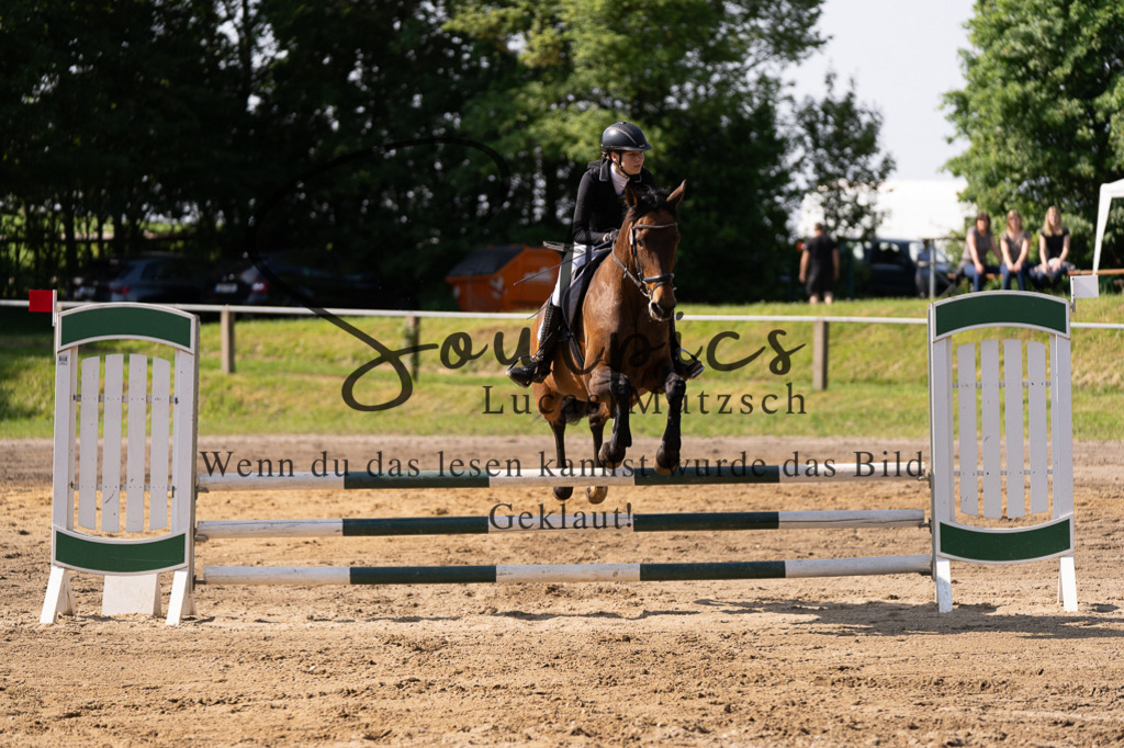 A7507317 | Turnier/Reitfotograf