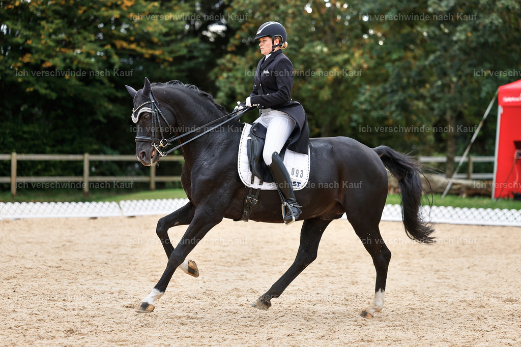 11-093-Dressur S___-StoibPH-1344 | working equitationturnier fotograf videograf stoibphotography marixx film working equitation deutschland reitsport turnierfotografie eventfotografie equestrian events