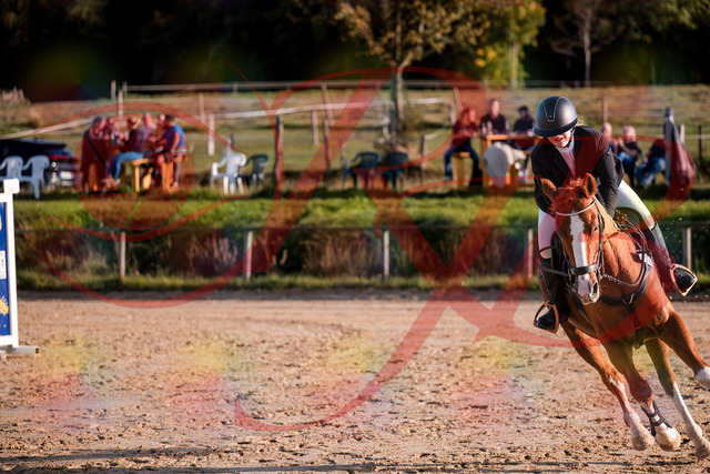 2026_10_03_Siefer-Hof_171752_Z81_16148554 | Professionelle Reitsport-, Turnier- und Eventfotografie von Robert Broda. Galerien mit ausgewählten und bearbeiteten Bildern direkt online ansehen und bestellen.