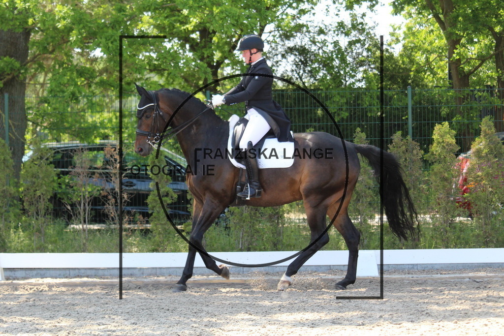 IMG_4717 | franziskalange - Realisiert mit Pictrs.com