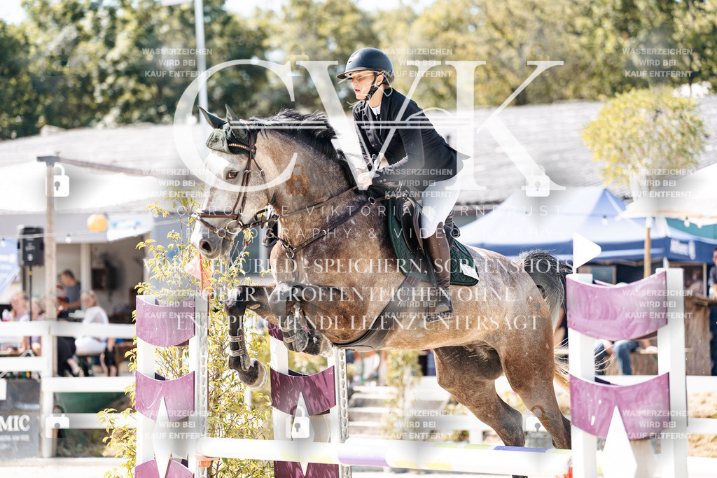 CK908980 | Turnierfotografie Pferdefotografie Trier Rheinland-Pfalz Pferdesport Reitsport Tierfotografie Sportfotografie Pferdevideo Pferdevideografie Equestrianvideography equestrianphotography  - Realisiert mit Pictrs.com