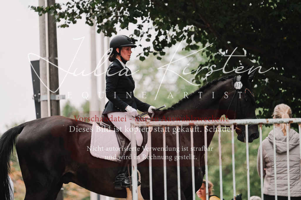 DSC_3668 | Pferde- und Turnierfotografie in Westsachsen. Pferdeportraits, Auftragszeichnungen und intuitive Kunst.