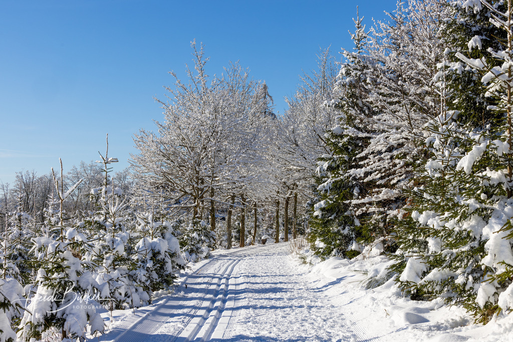 Loipe auf dem Hohen Knochen | Loipe auf dem Hohen Knochen bei Schmallenberg - Realisiert mit Pictrs.com