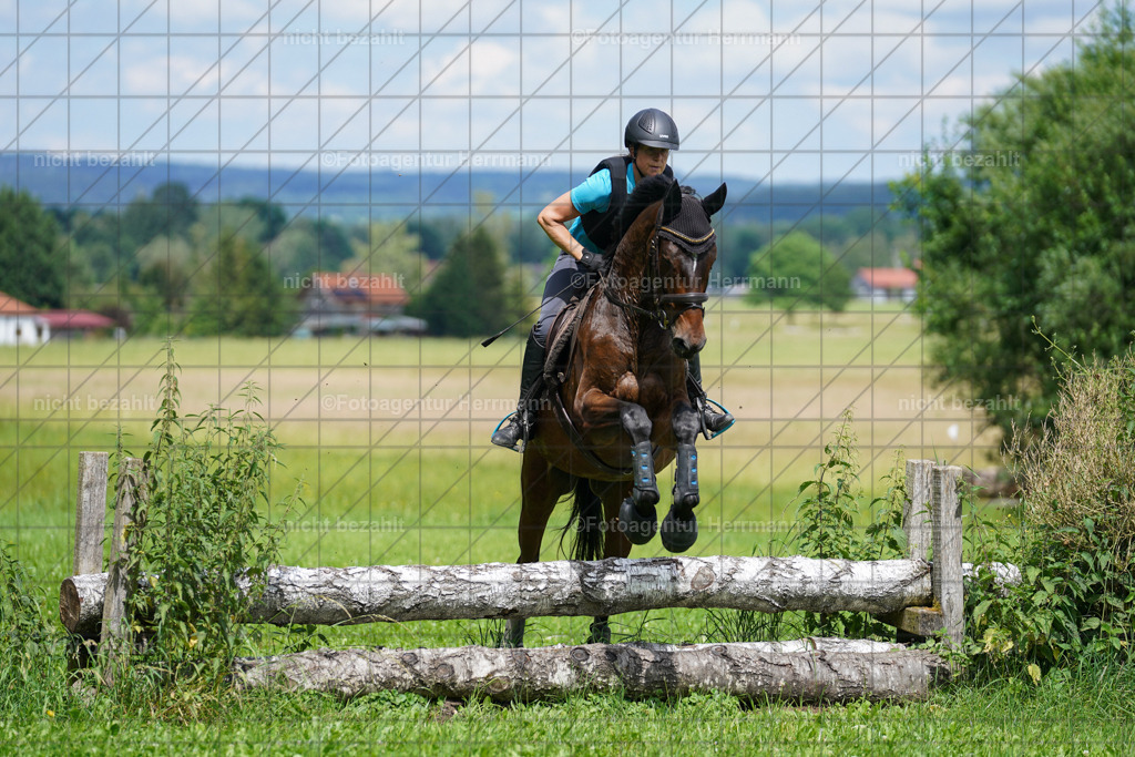 20240622-FAH07623 | Turnierfotografen Bayern, Reitsportbilder aus dem Geländekurs mit Felix Etzel auf dem Gut Waitzacker 2024
