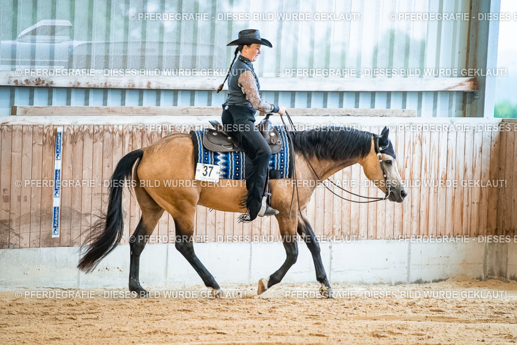 DSC00061 | Pferdegrafie