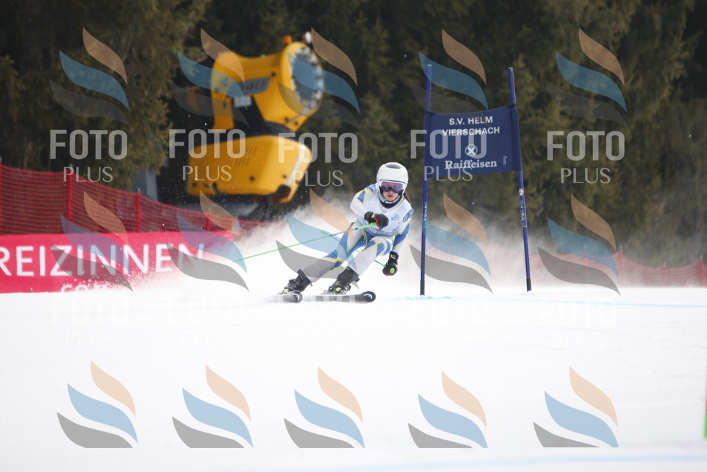 D4998 | holidayphoto