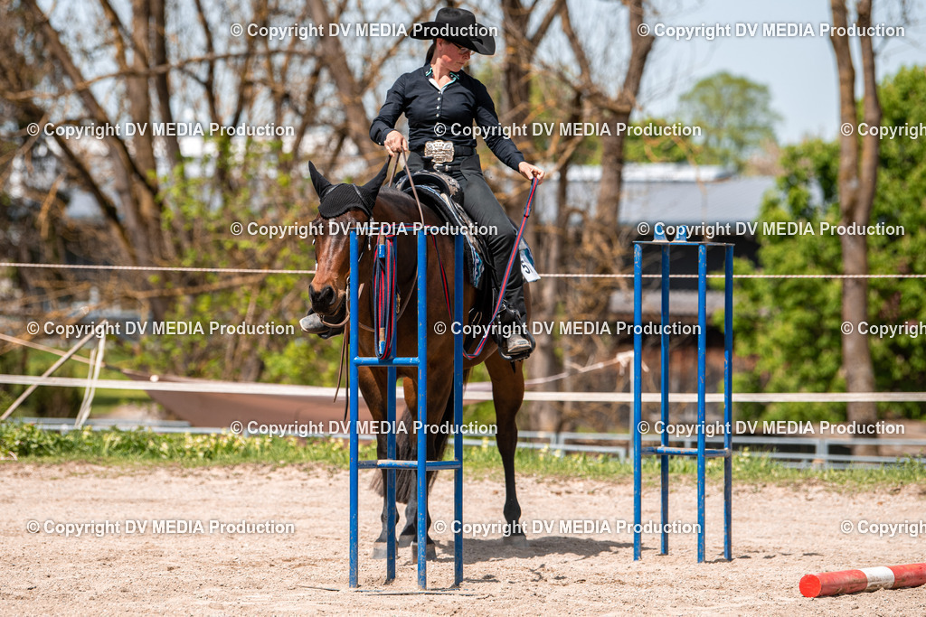 Balingen Tag 4-574 | dv-media-shop - Realisiert mit Pictrs.com