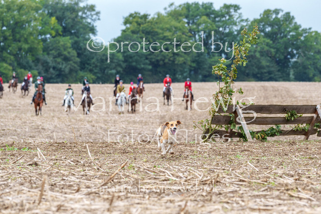 Jagd Perdoel 26 Sony-03262_MarinaHewig | Fotografie, FotoArt, PferdesportArt, Pferdesportfotografie, Landschaftsfotografie, Reisefotografie, Reise, Pferde - Realisiert mit Pictrs.com