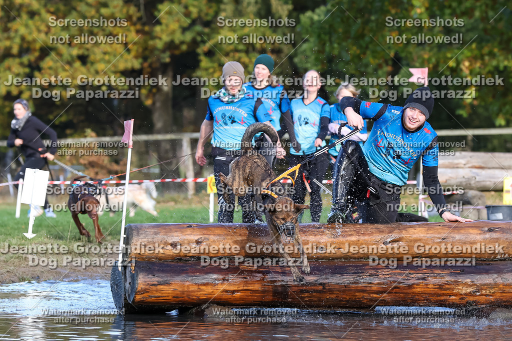 Dog Paparazzi - Strongdog 10-25-8574 | Dog Paparazzi Jeanette Grottendiek Fotografie & Videografie - Realisiert mit Pictrs.com