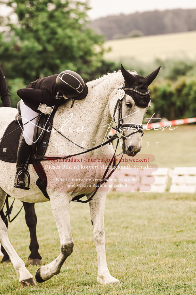 DSC_5032 | Pferde- und Turnierfotografie in Westsachsen. Pferdeportraits, Auftragszeichnungen und intuitive Kunst.