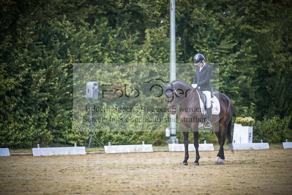 DOS_5706 | Entdecke hochwertige Reitturnierfotos von Foto Oger. Professionell, emotional und authentisch – jetzt Lieblingsmomente im Shop bestellen.Deutschlandweite Turnierfotografie. - Realisiert mit Pictrs.com