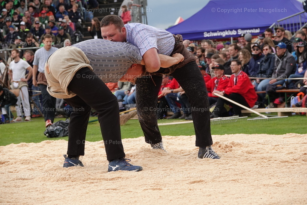 DSC03876 | Schwingen - Realisiert mit Pictrs.com