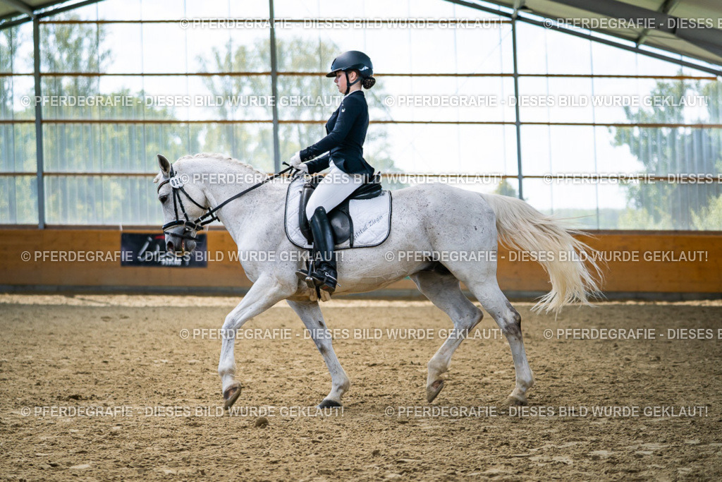 DSC05498 | Pferdegrafie