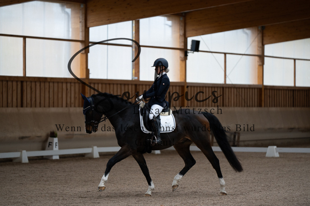 A7V02136 | Pferdefotograf