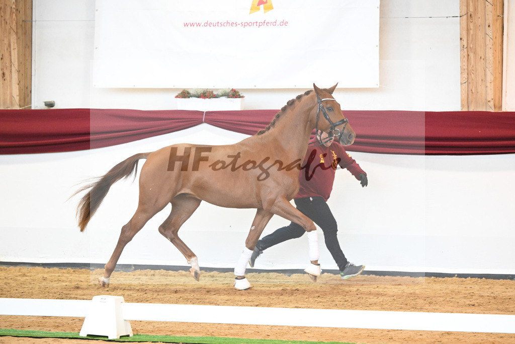 Kat-Nr. 28 v. Erdinger_Schuhmacher_66220780 | hf-fotografie - Realisiert mit Pictrs.com
