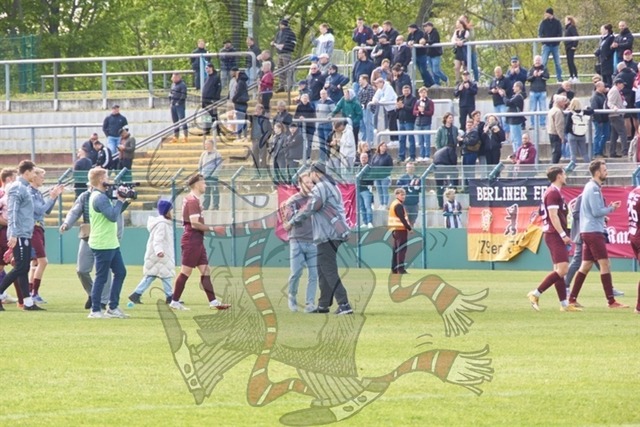 BFC Dynamo vs. BSG Chemie Leipzig  113 | mythos-online-redaktion