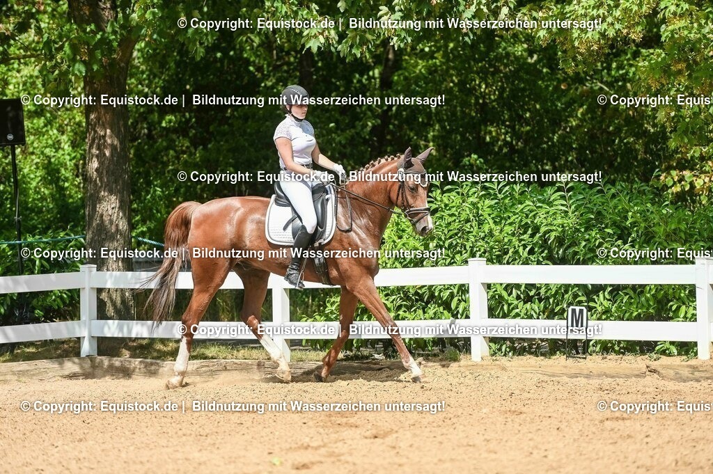 20230715_02_Dressurreiterprüfung Kl.L_0234 | equistock