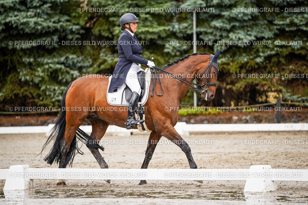 DSC09690 | Pferdegrafie