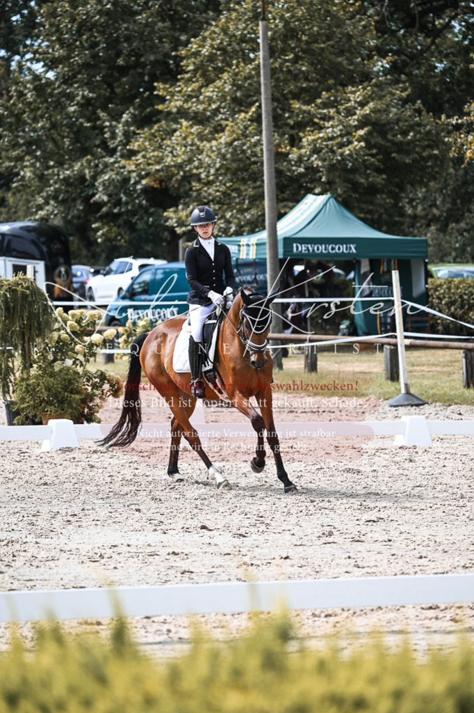 DSC_5144 | Pferde- und Turnierfotografie in Westsachsen. Pferdeportraits, Auftragszeichnungen und intuitive Kunst.