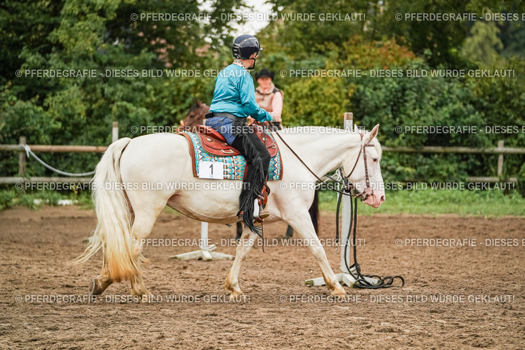 DSC03651 | Pferdegrafie