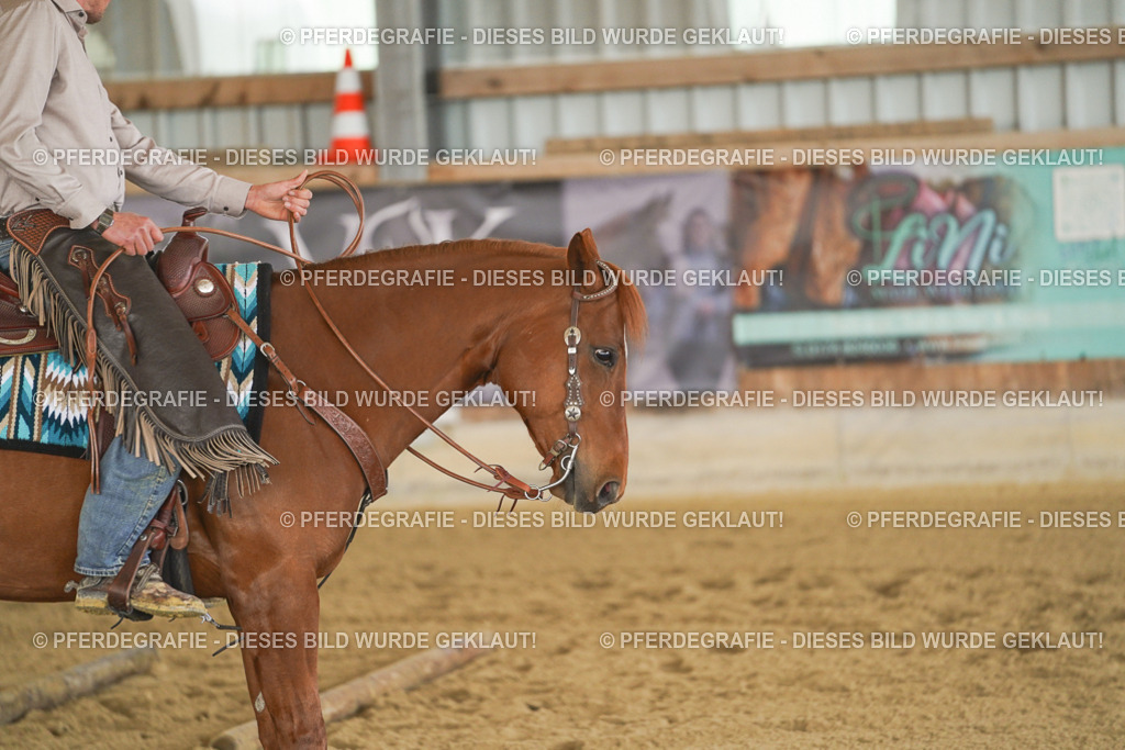 DSC02930 | Pferdegrafie