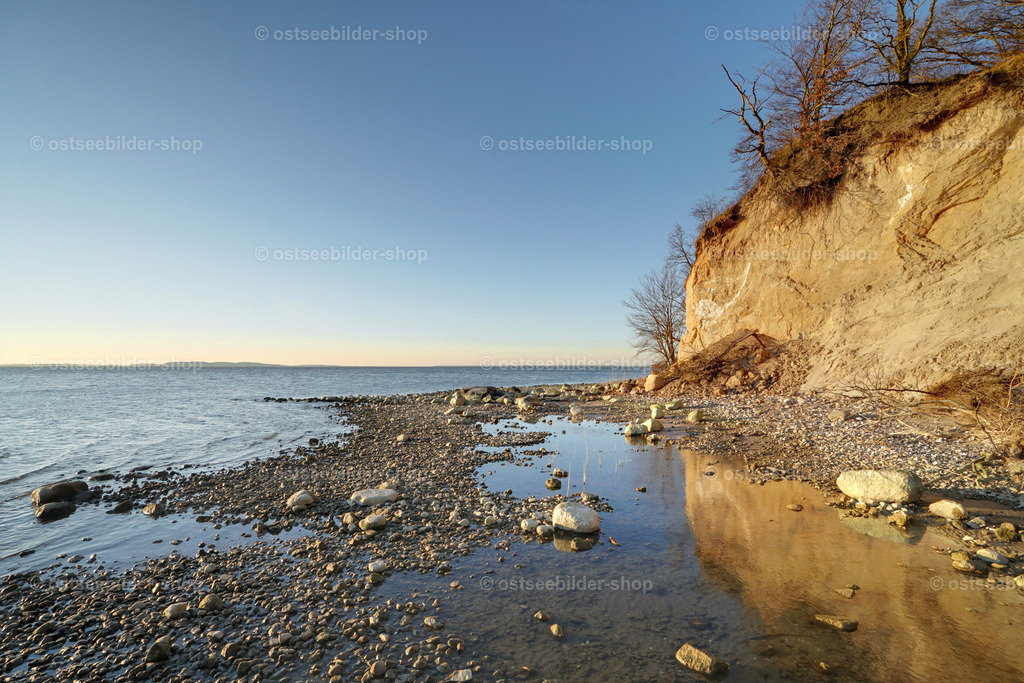 Steilufer am Großen Jasmunder Bodden im Abendlicht | Ufer mit Steinen bei Niedrigwasser vor der Steilküste im Großen Jasmunder Bodden.
